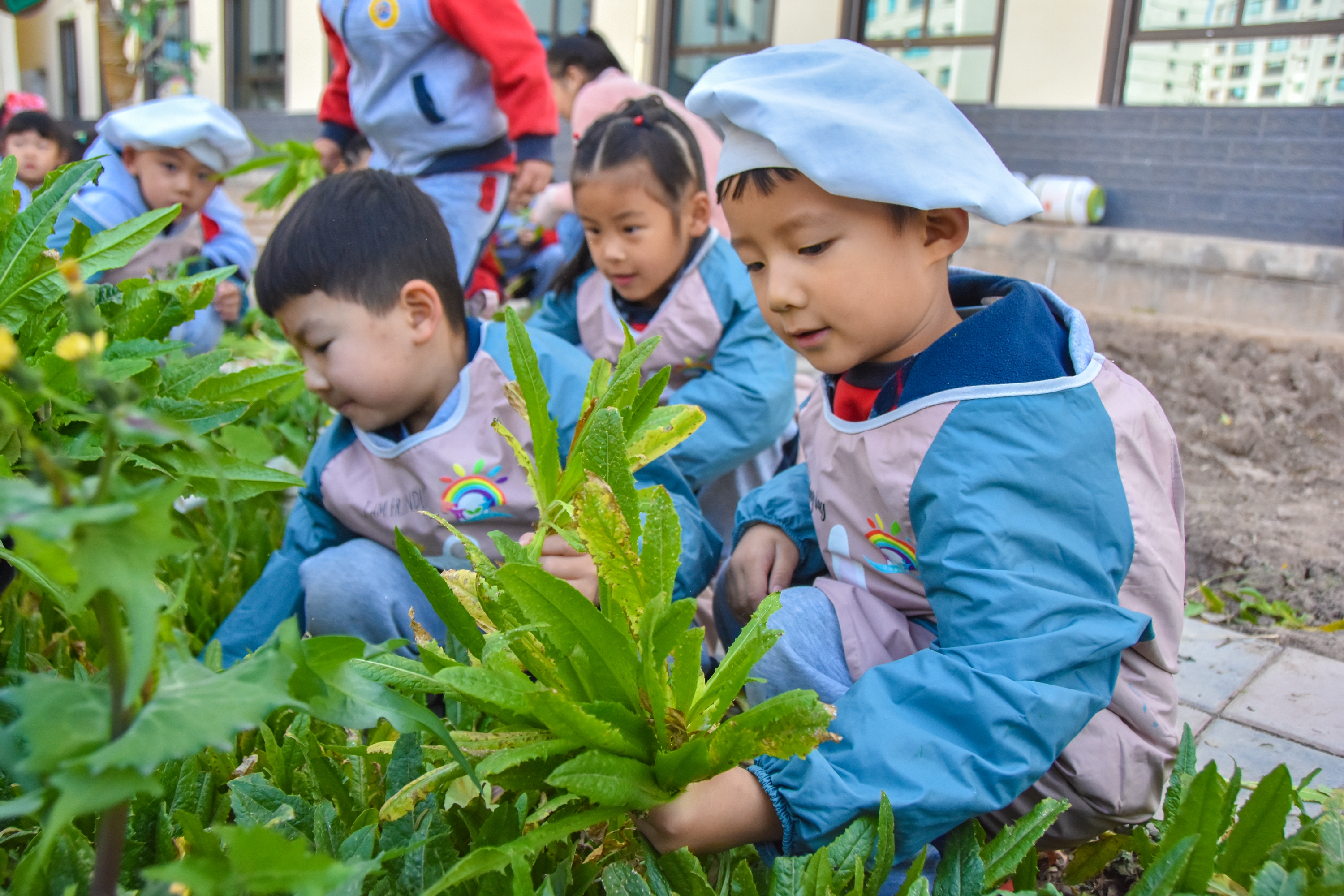 1.甘肅臨澤：濱河幼兒園“種植農場” 體驗農耕樂趣3.JPG