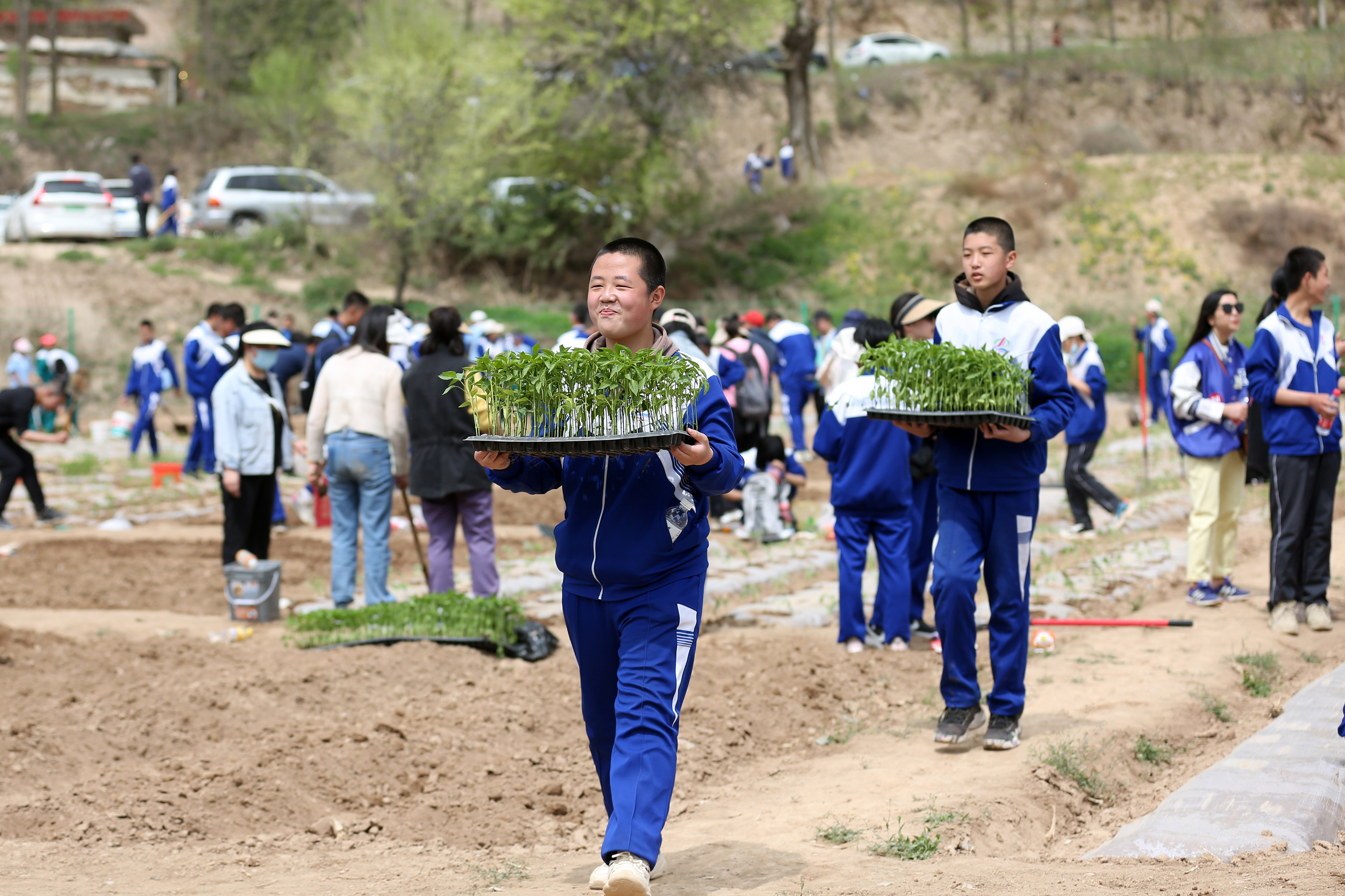 09——4月27日，在甘肅省平涼市第四中學行知園學農基地里，學生們在搬運辣椒苗。.JPG